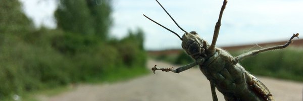 RoloEM Profile Banner