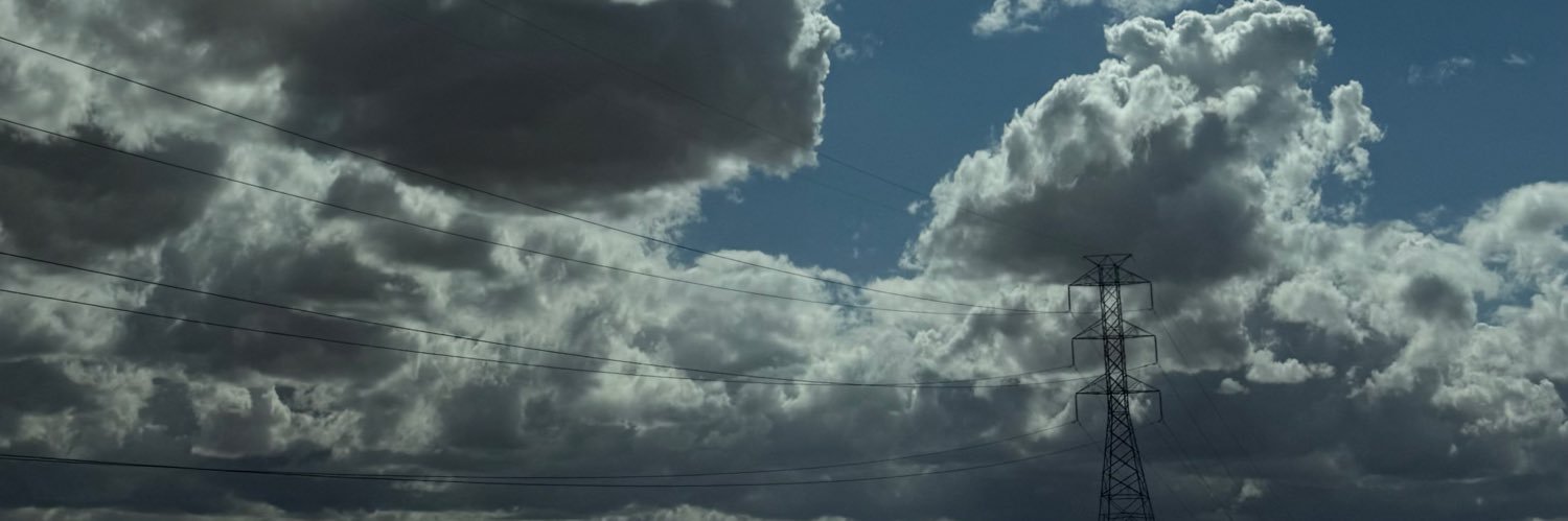 psyriin's profile banner image