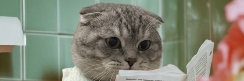 Nur banner