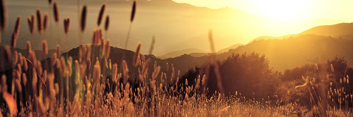 ZavArtem's profile banner image