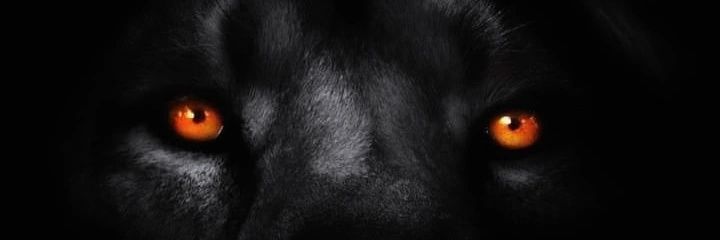 James_Villamar's profile banner image