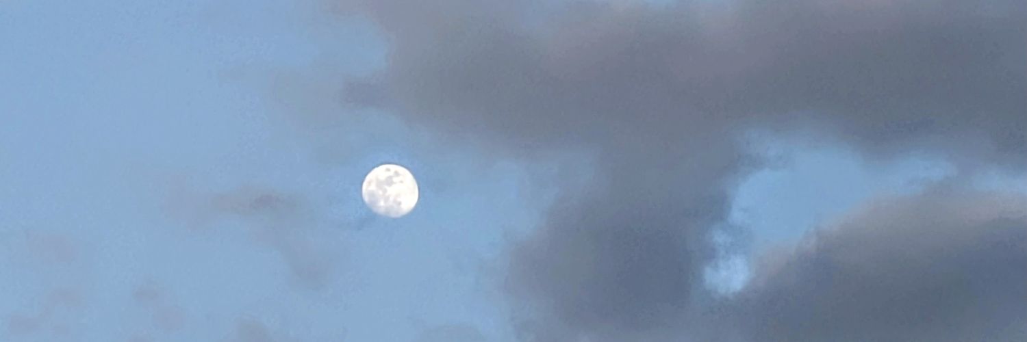 Samara banner