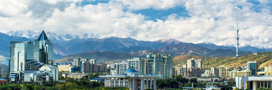 max (хочет танцевать) banner