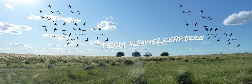 L'Arbre en fête 🌳🎋🍃 banner