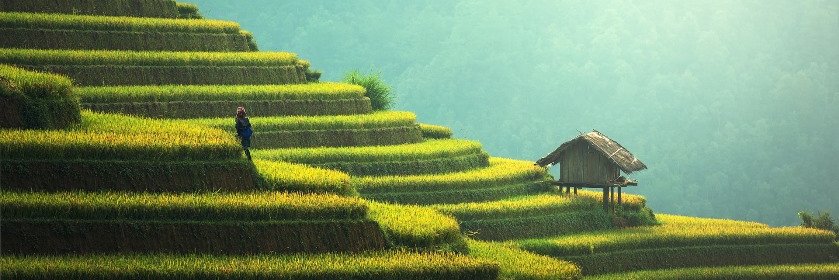 Info Compensation Carbone banner