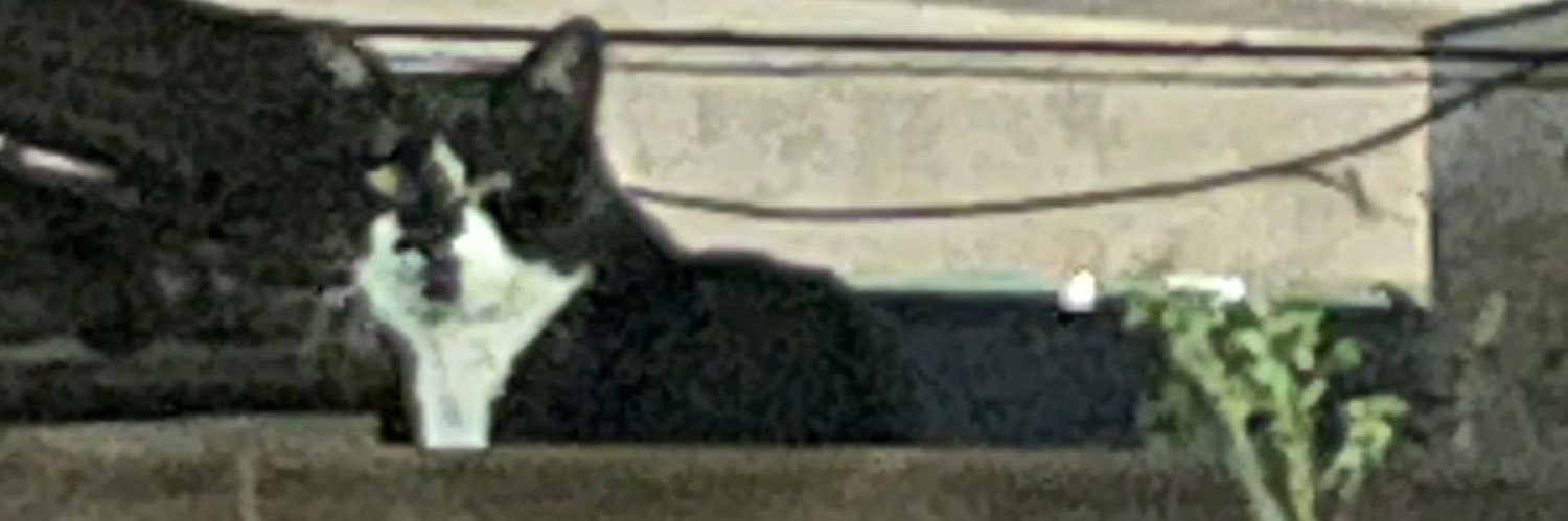 0127_1527's profile banner image