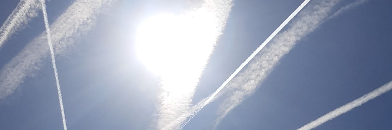 nodangerman's profile banner image