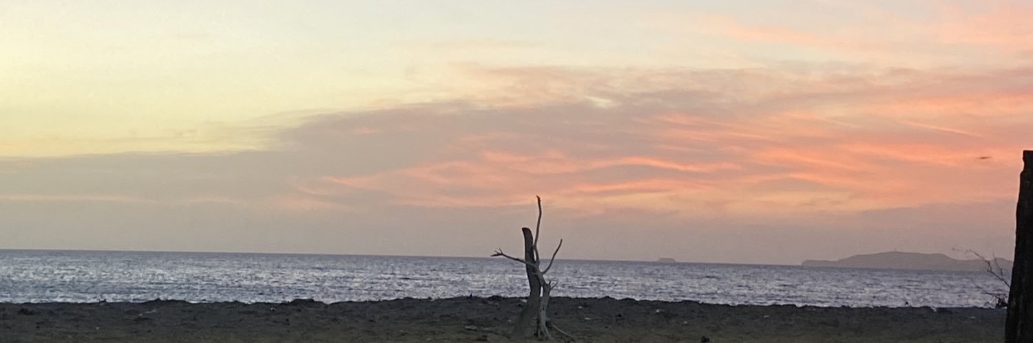 ValentinaSL9's profile banner image