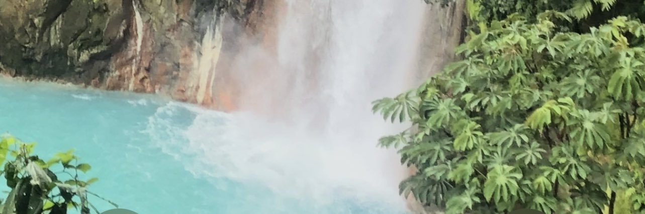 laceyreneed's profile banner image