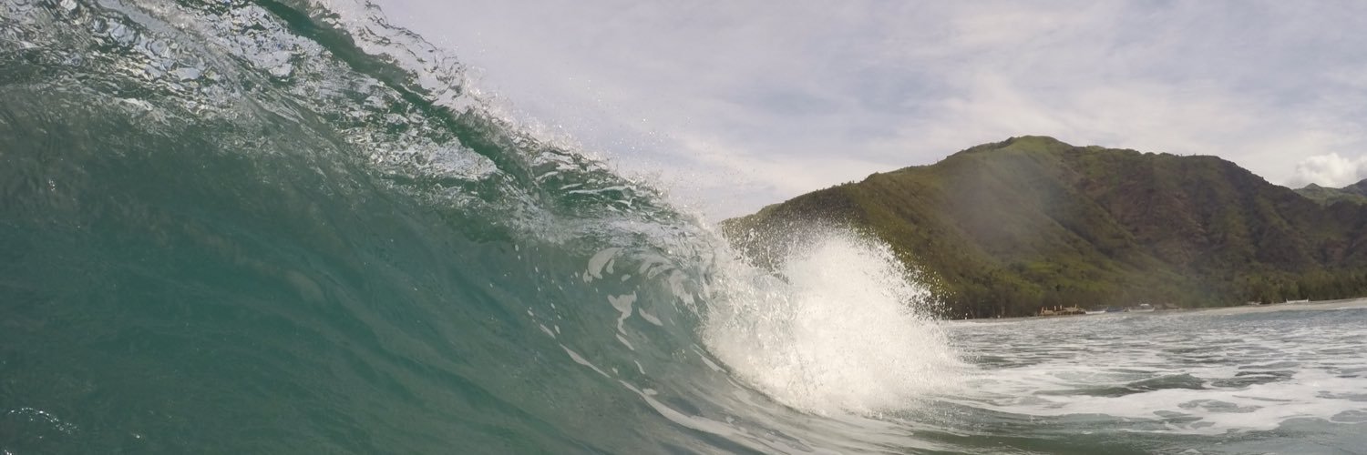 laihrics's profile banner image