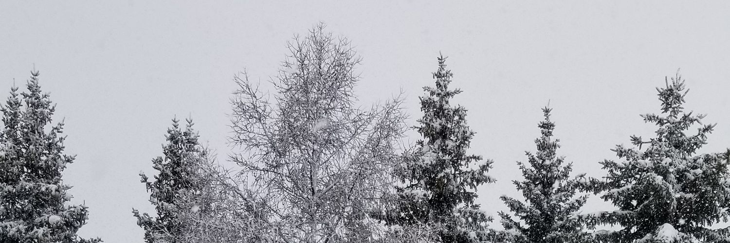 corimarcano's profile banner image