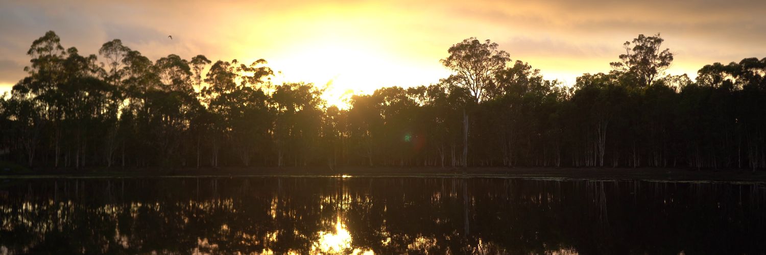 grustinez's profile banner image