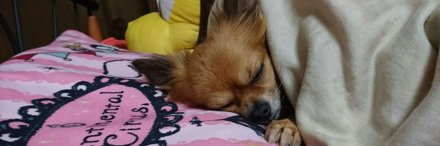 みなみ@推しに会いたい banner