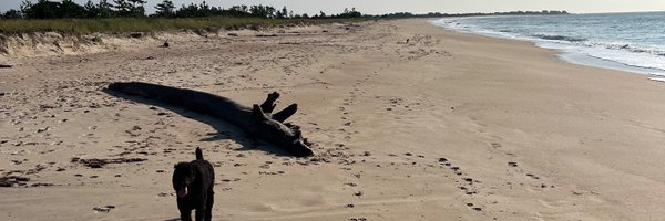 chrishess07 Profile Banner