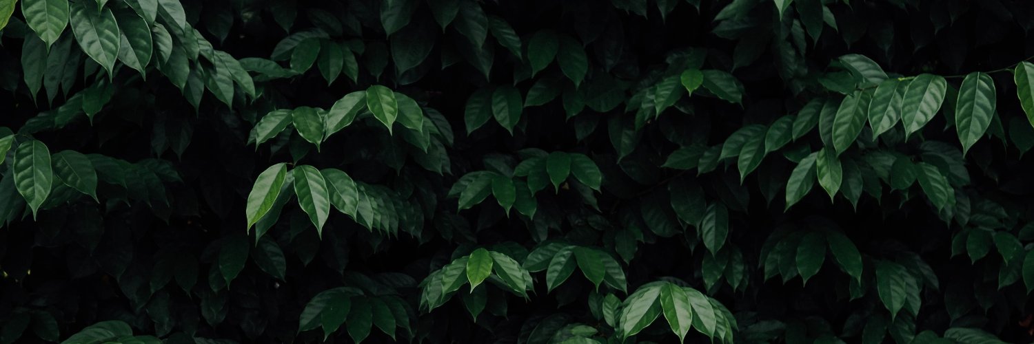 _nexact's profile banner image
