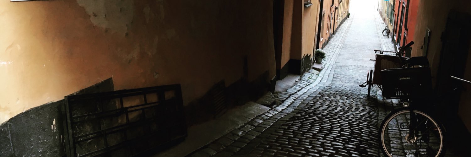 livsgata's profile banner image