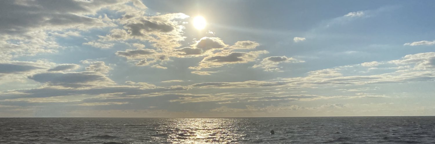 lauranoblex's profile banner image