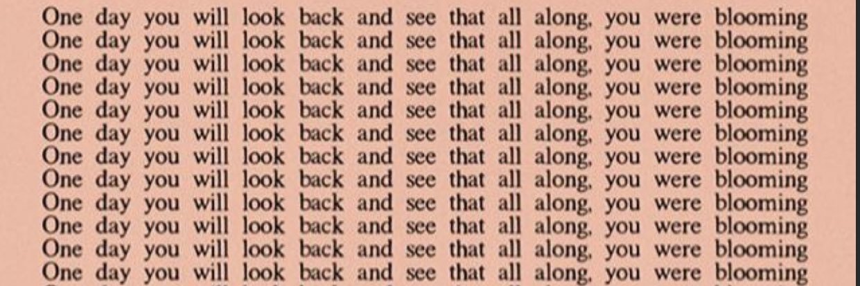 juliaelise97's profile banner image