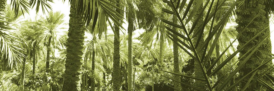 bhpavilion2015's profile banner image