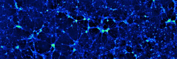 YorkBioimaging Profile Banner