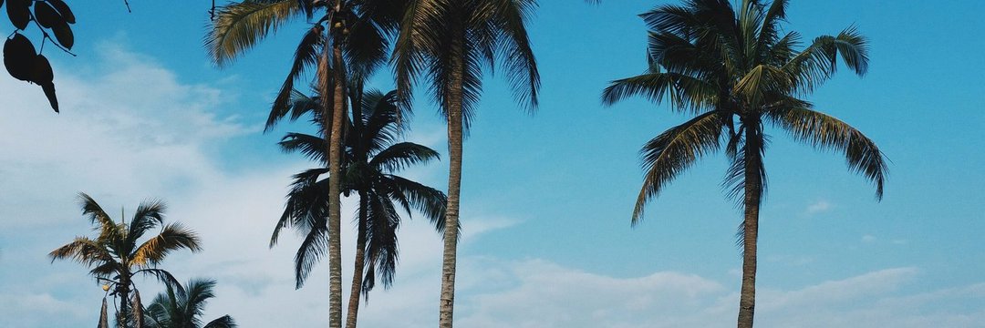 Beefromcocody's profile banner image