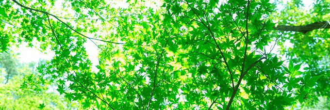 170912P's profile banner image