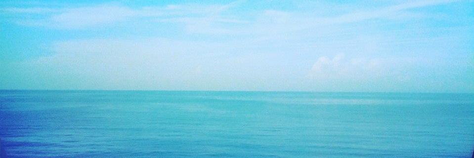 LauraOlocco's profile banner image