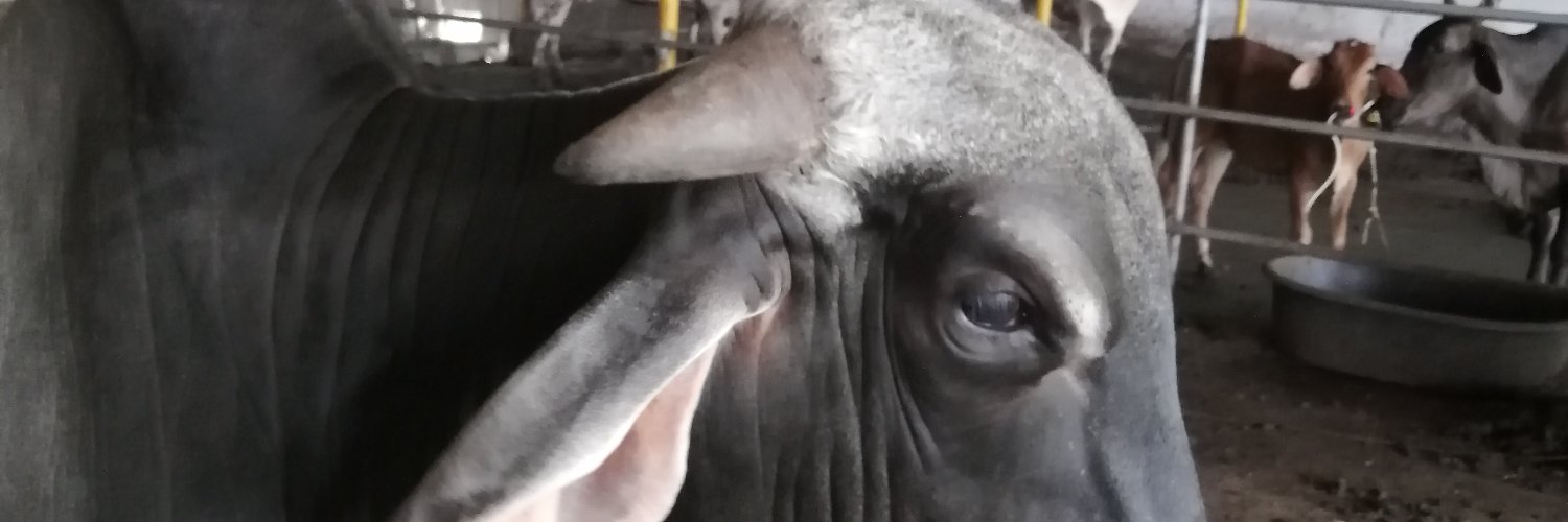 TheMasterEngin's profile banner image