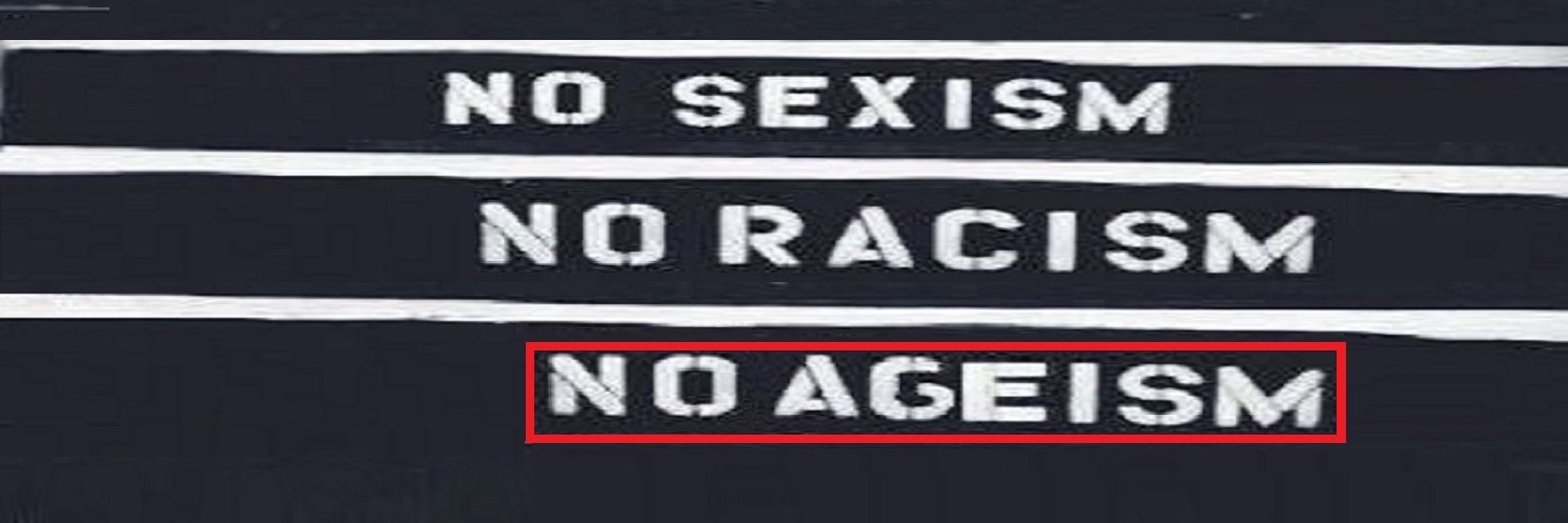 Stephany Bravo-Segal banner