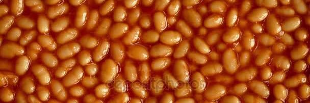 Pat_The_Dingus's profile banner image
