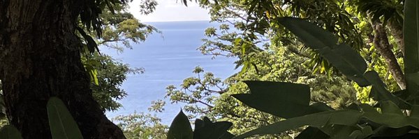 WANGLI76 Profile Banner