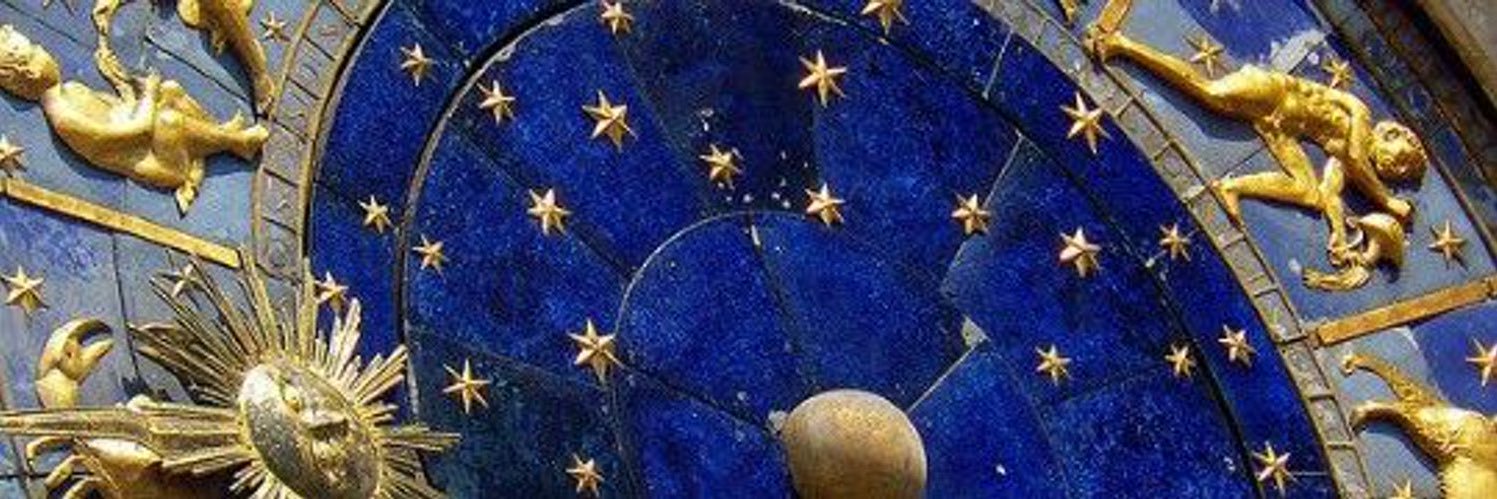 Delphinium727's profile banner image