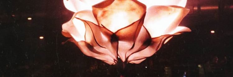 shawnsscarr's profile banner image