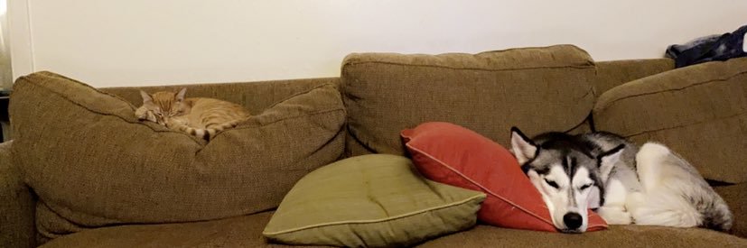 dufflebaghanna's profile banner image