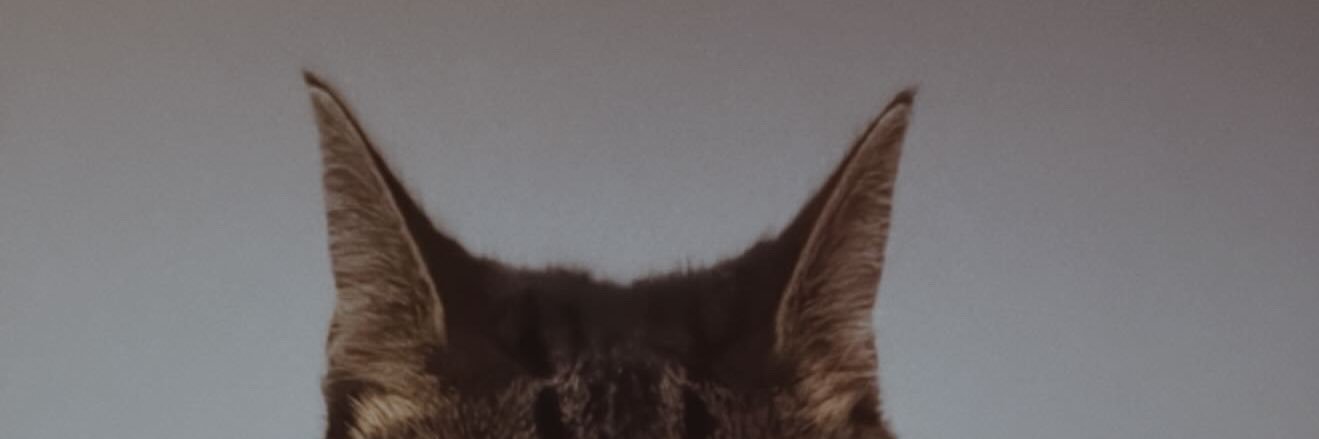 Danielle Rodriguez. banner
