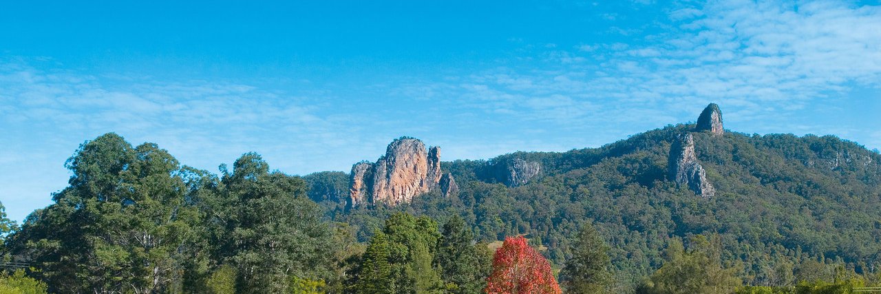 Thomas George banner