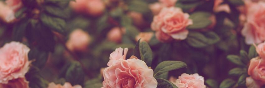 EmilyKnapp48's profile banner image
