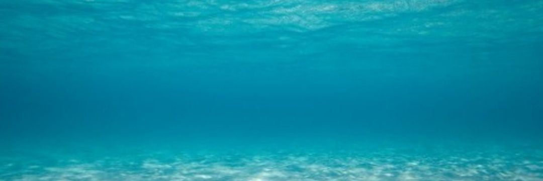victor_roson's profile banner image
