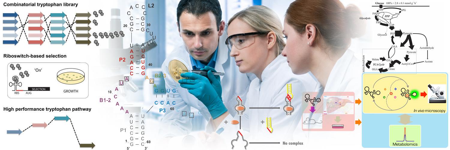 Meta_RNA's profile banner image