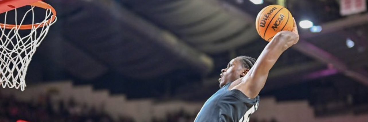 Lovin the juice banner