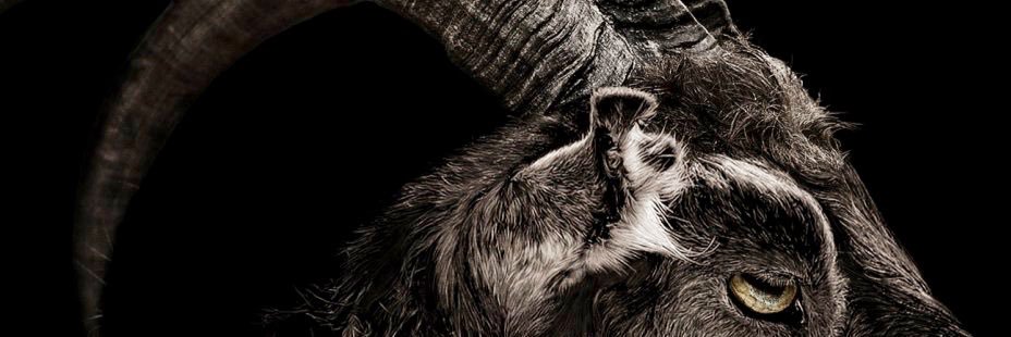 kylinnn8's profile banner image