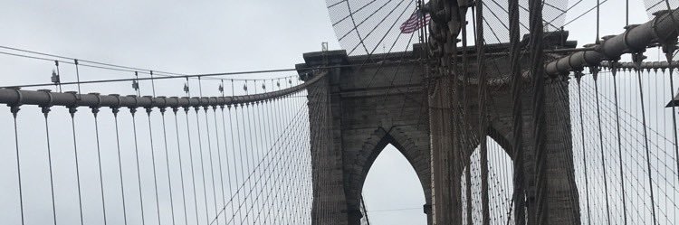 DP banner