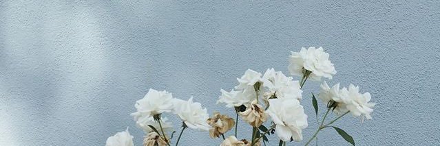 h___3232's profile banner image