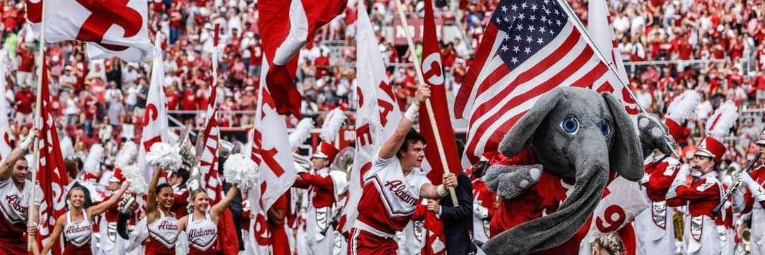KellyTSchrupp's profile banner image
