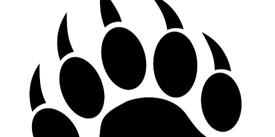 BrownBearTracks banner