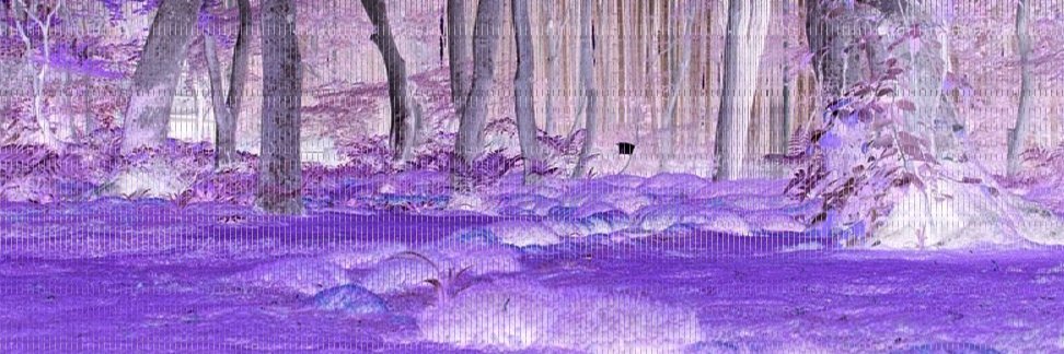 loiciniv's profile banner image