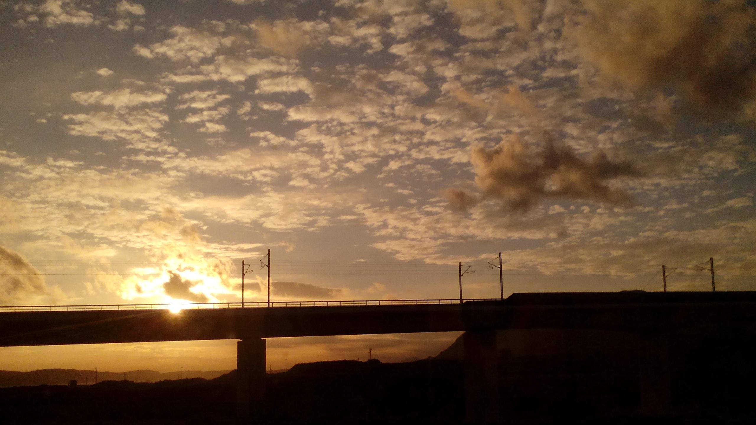 CoboEster's profile banner image