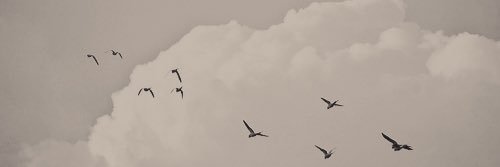 meme_597's profile banner image