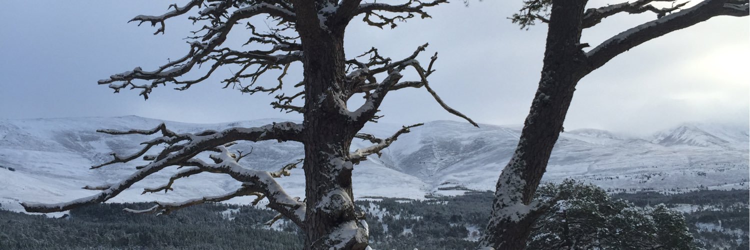 JRBJS's profile banner image