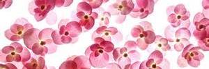 I_am_rubyyoung's profile banner image